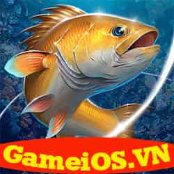 Lưỡi Câu Fishing Hook MOD iOS (Vô hạn Tiền và Xu M)