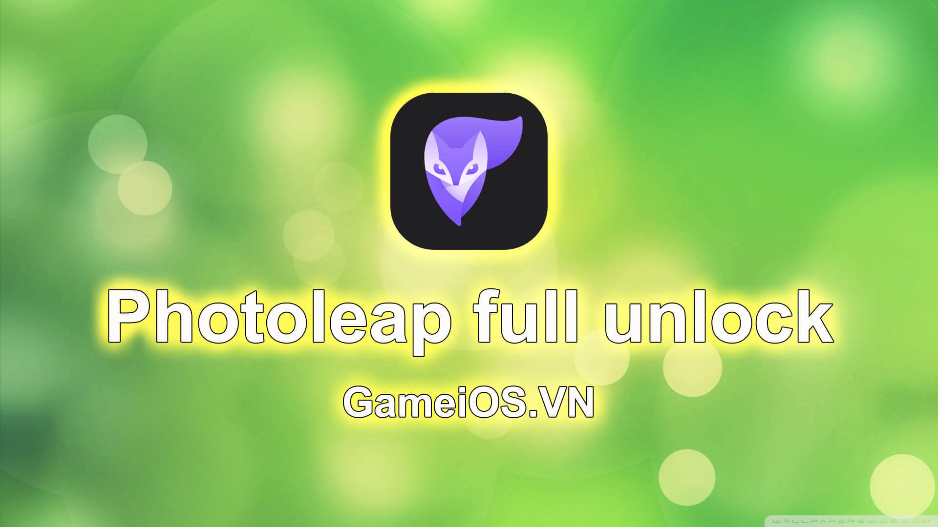 photoleap-full-unlock-ios.jpg