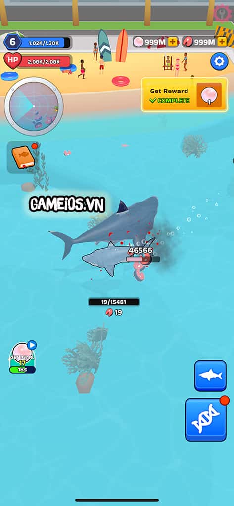 Shark Universe
